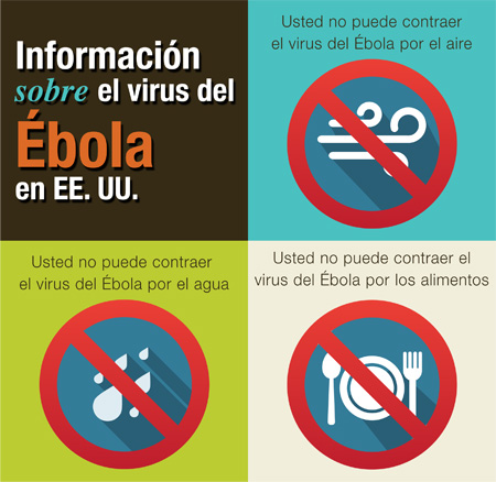 Facts about Ebola Virus infographic (Spanish)