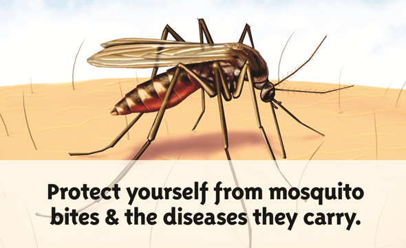 Protect yourself from mosquitoes